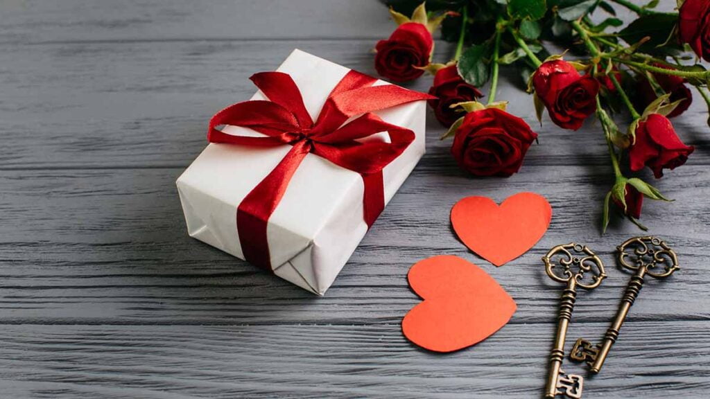 10 Best Valentine's Day Gift for Girlfriend Buy Cheap Price